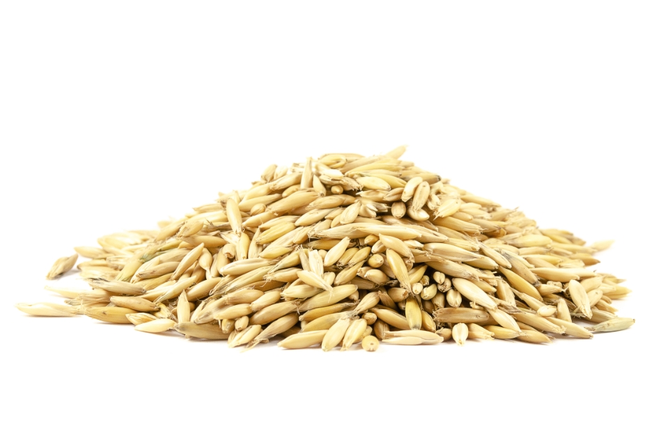 bac_OatSeed_1199022675