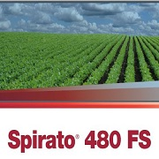 Sebring 480 FS