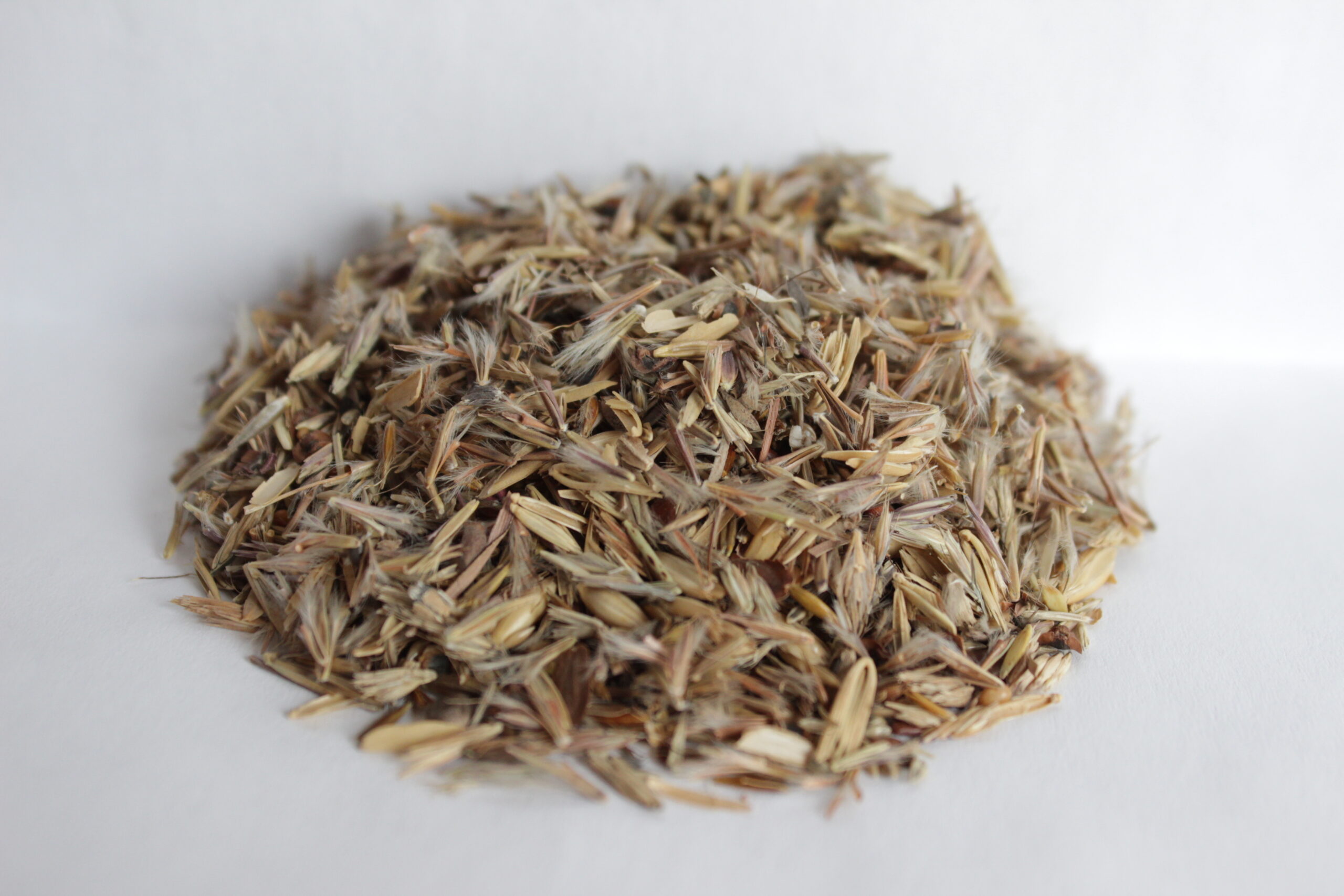 Pretty Prairie - Tallgrass Mix - Image 4