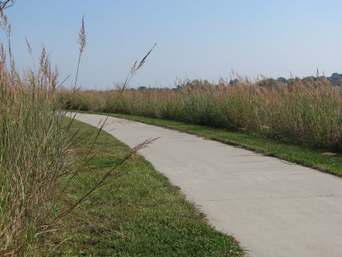 Native Tallgrass Mix