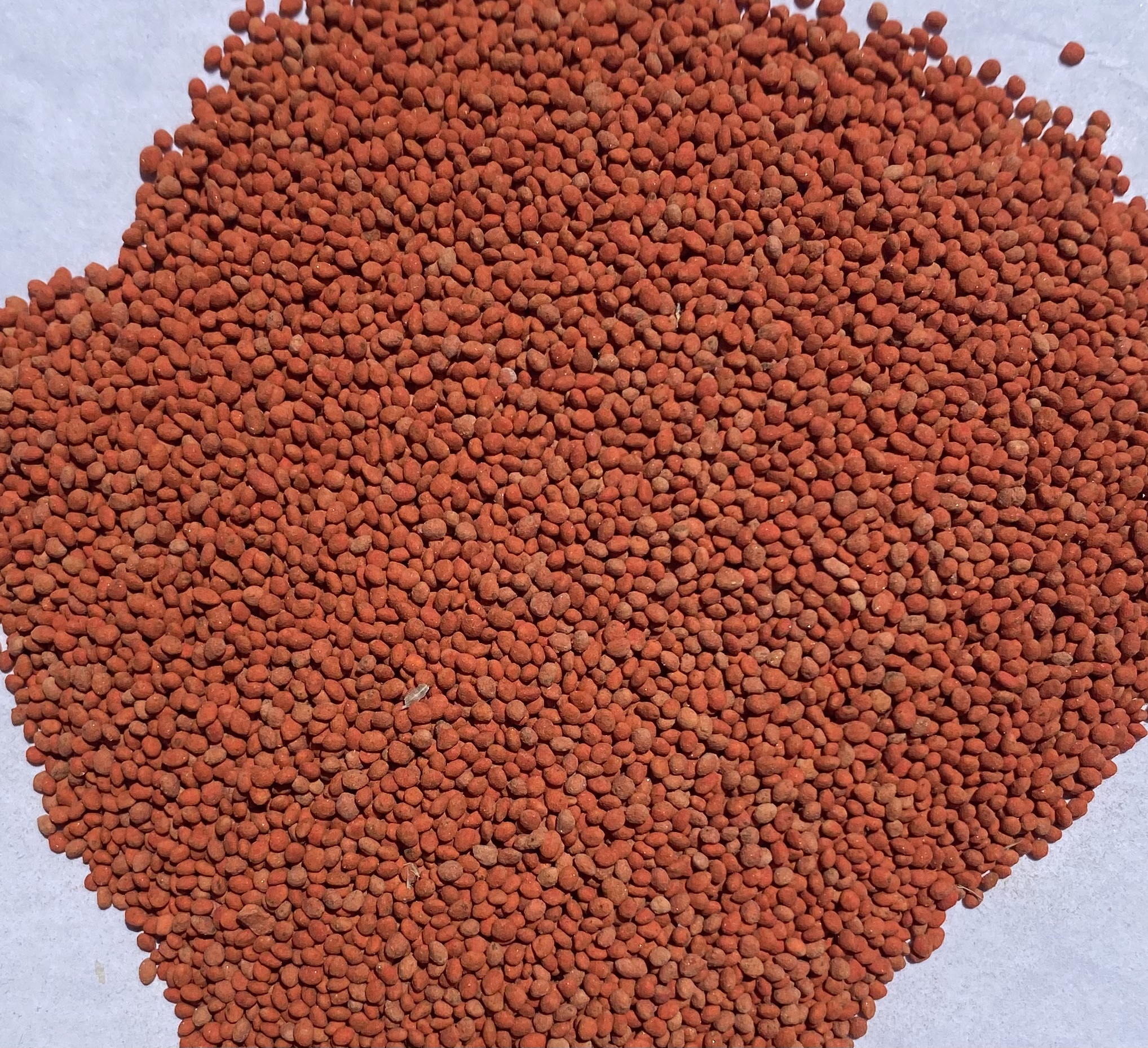 Clover Balansa